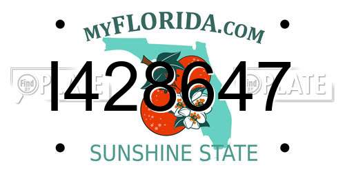 I428647 Florida License Plate
