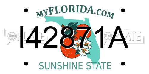 I42871A Florida License Plate