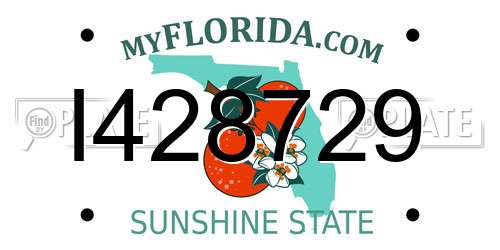 I428729 Florida License Plate