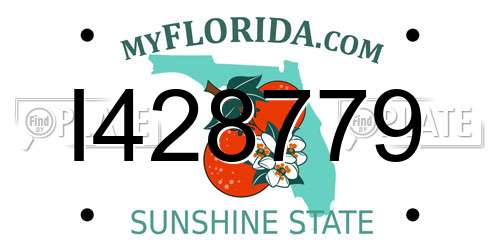 I428779 Florida License Plate