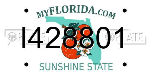 I428801 Florida License Plate