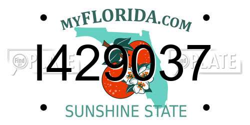 I429037 Florida License Plate
