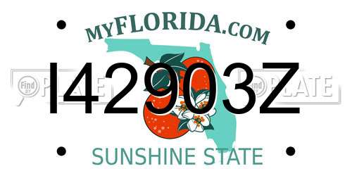 I42903Z Florida License Plate