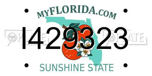 I429323 Florida License Plate