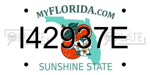 I42937E Florida License Plate