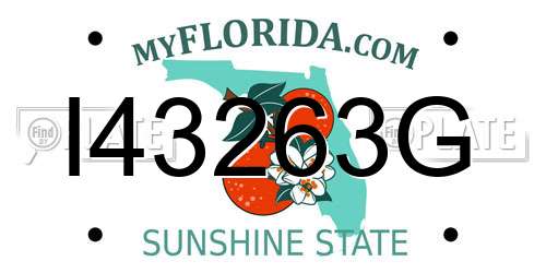 I43263G Florida License Plate