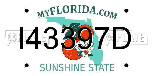 I43397D Florida License Plate
