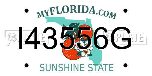 I43556G Florida License Plate