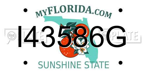 I43586G Florida License Plate