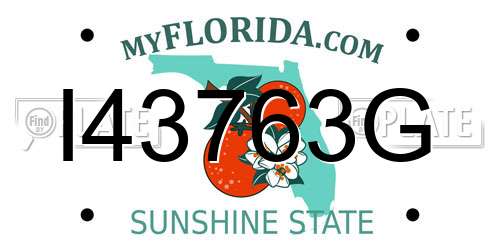 I43763G Florida License Plate
