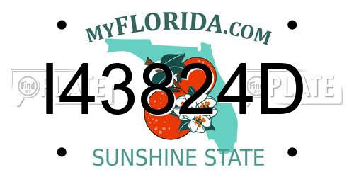 I43824D Florida License Plate