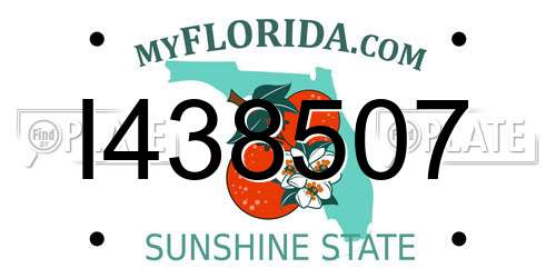I438507 Florida License Plate