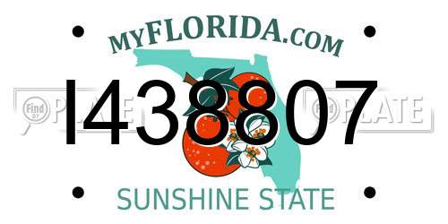 I438807 Florida License Plate