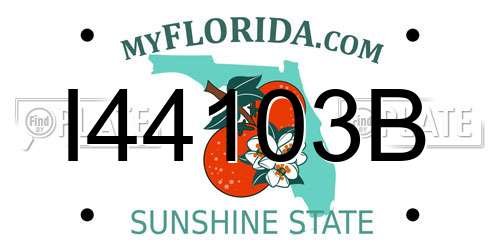 I44103B Florida License Plate
