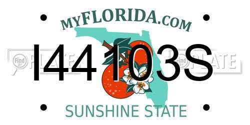 I44103S Florida License Plate