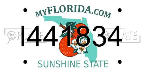 I441834 Florida License Plate