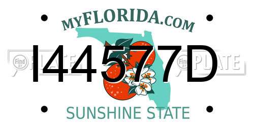 I44577D Florida License Plate