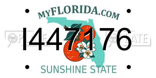 I447176 Florida License Plate