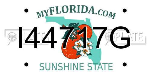 I44717G Florida License Plate