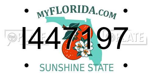 I447197 Florida License Plate