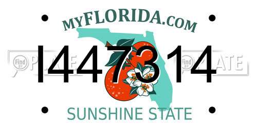 I447314 Florida License Plate