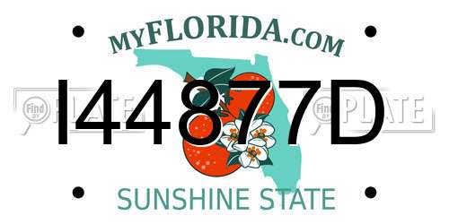 I44877D Florida License Plate