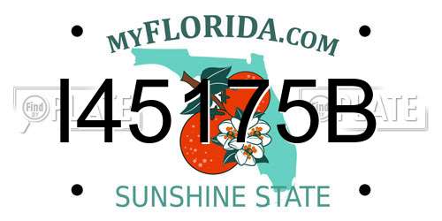 I45175B Florida License Plate