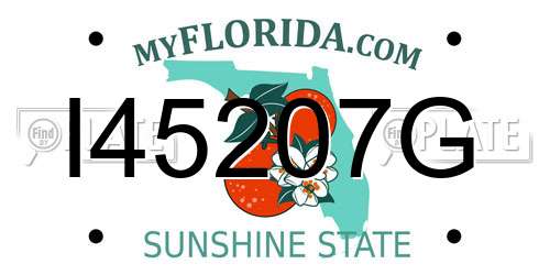 I45207G Florida License Plate