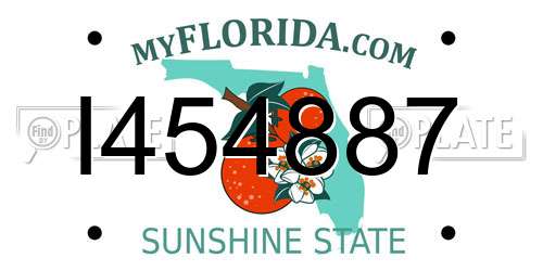 I454887 Florida License Plate