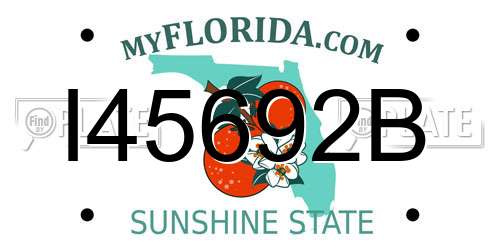 I45692B Florida License Plate