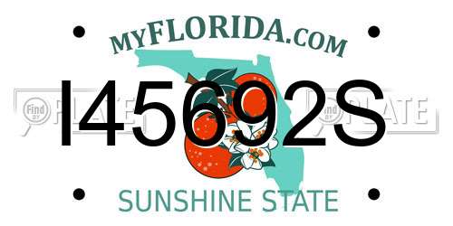 I45692S Florida License Plate