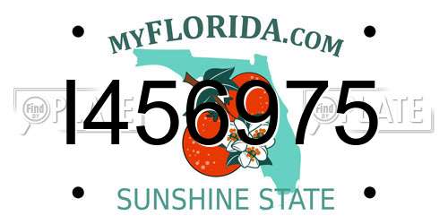 I456975 Florida License Plate