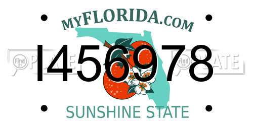 I456978 Florida License Plate