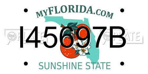 I45697B Florida License Plate