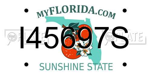 I45697S Florida License Plate