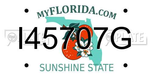 I45707G Florida License Plate