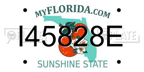 I45828E Florida License Plate