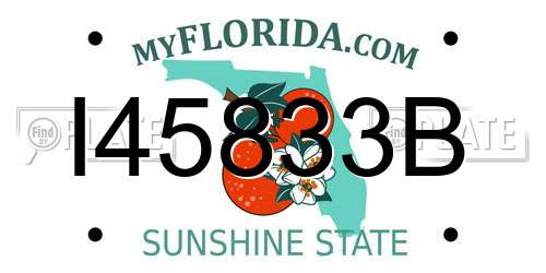 I45833B Florida License Plate