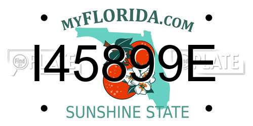 I45899E Florida License Plate