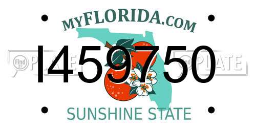 I459750 Florida License Plate
