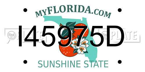 I45975D Florida License Plate