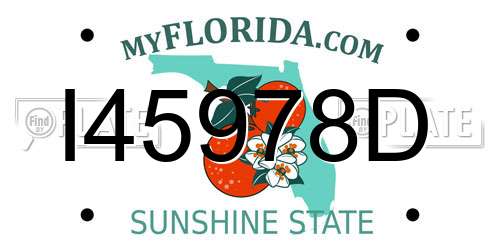 I45978D Florida License Plate