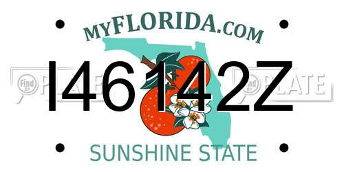 I46142Z Florida License Plate