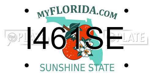 I461SE Florida License Plate