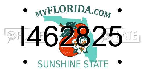 I462825 Florida License Plate