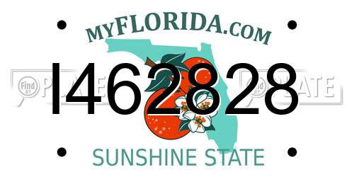 I462828 Florida License Plate