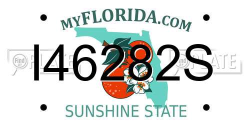 I46282S Florida License Plate