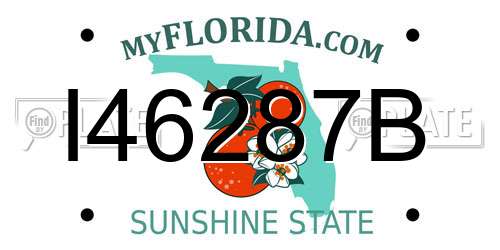 I46287B Florida License Plate