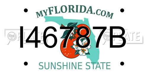 I46787B Florida License Plate