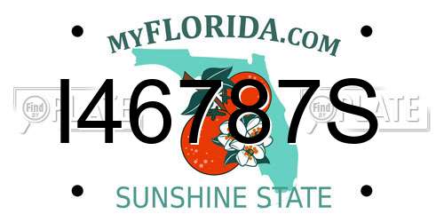 I46787S Florida License Plate